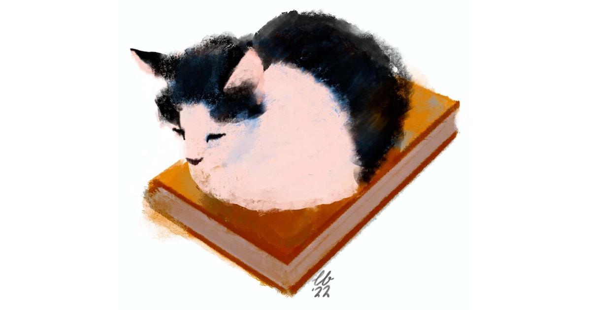 De Volkskrant artikel